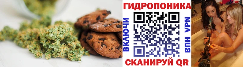 как найти закладки  Киржач  Canna-Cookies марихуана 