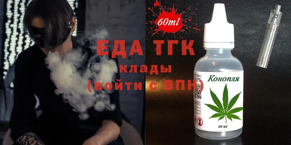 хмурый Алексин