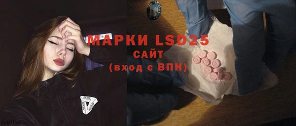 хмурый Алексин
