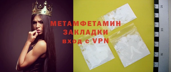 хмурый Алексин