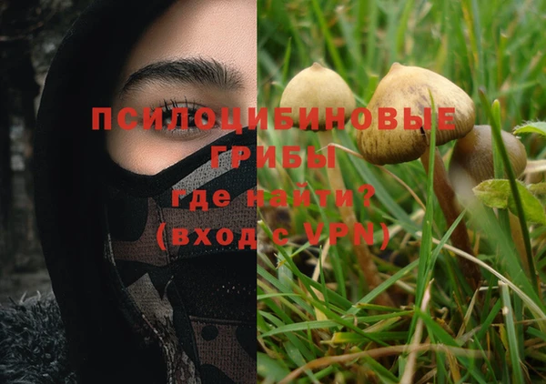 мяу мяу мука Алексеевка