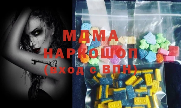 хмурый Алексин