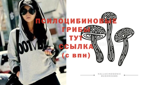 скорость Алзамай