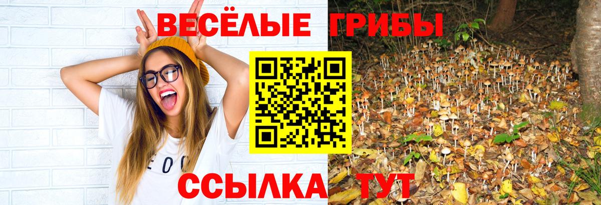 Галлюциногенные грибы мицелий Киржач